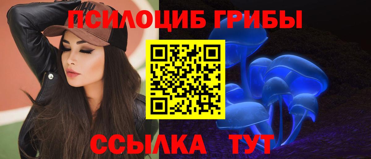купить  сайты  Псилоцибиновые грибы прущие грибы  Вход с VPN  Янаул 